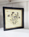 WOOD FRAMED BOTANICAL WALL ART BACHELOR'S BUTTONS