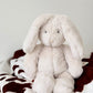 MOULIN ROTY MON LAPIN LOUISON CREAM