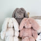 MOULIN ROTY MON LAPIN LOUISON CREAM