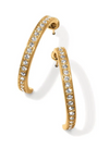 BRIGHTON EARRINGS MERIDIAN ZENITH MEDIUM HOOP